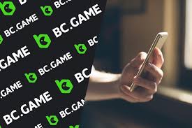 Understanding BC App Verification Ensuring Security and Trust